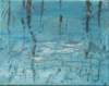 reflectionii_small.jpg