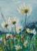 myowngarden2_small.jpg