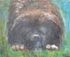 ourdog_small.jpg